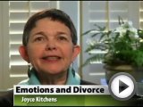 atlanta divorce lawyer | video - emotions and …