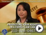 Family Law Attorneys in Los Angeles, CA