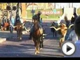 Ft. Worth Texas Cattle Drive by Dallas …